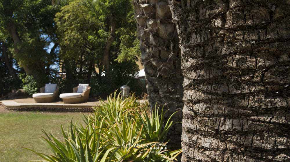 Villa Mosca Exclusive Villa Mosca Exclusive