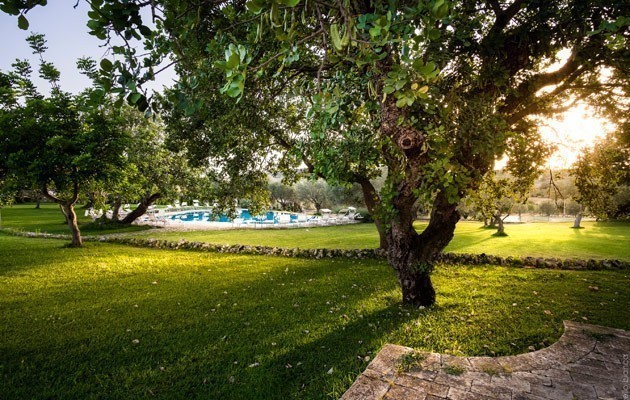 Masseria degli Ulivi Masseria degli Ulivi