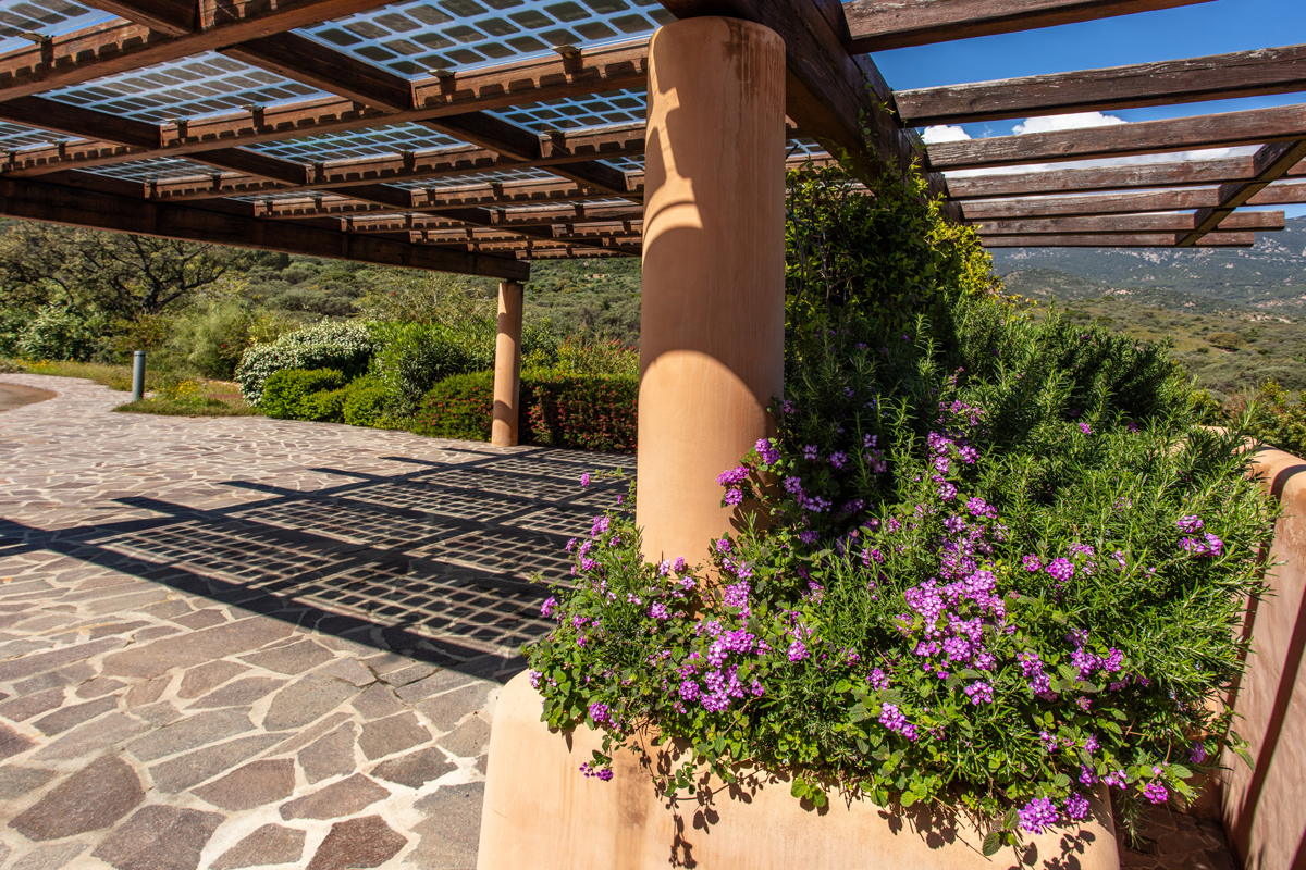 Villa Arenada - Is Molas Villa Arenada - Is Molas