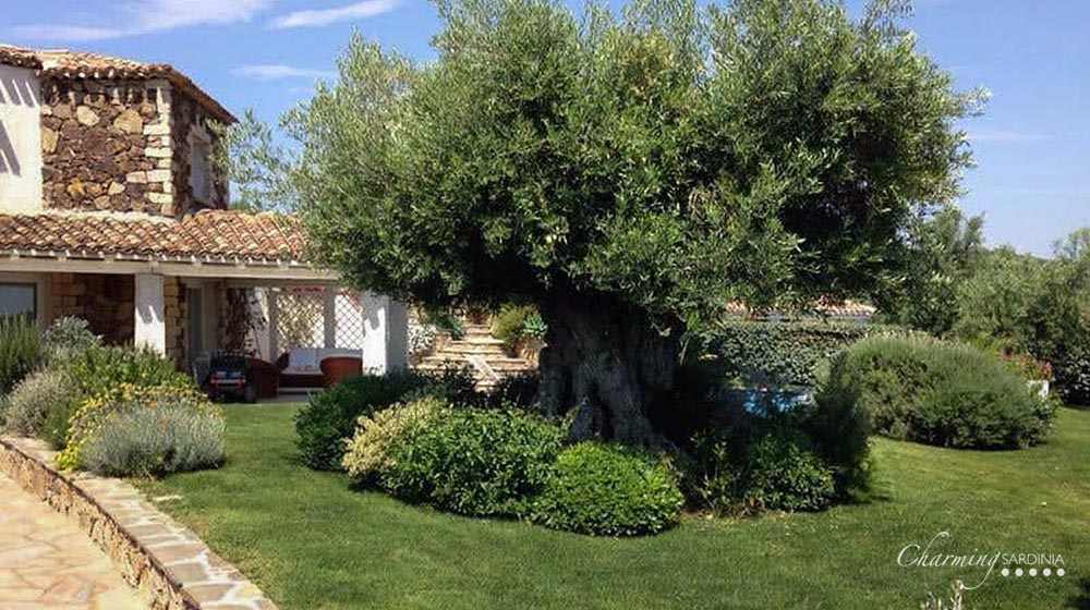 Villa Bouganville Villa Bouganville