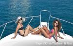 Roulette Prestige Delphina Roulette Prestige Delphina