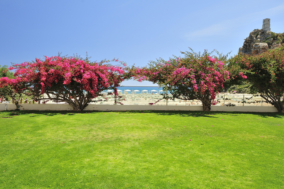 Gioia Life Hotel Torre Salinas - Adults Only Gioia Life Hotel Torre Salinas - Adults Only