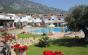 Array