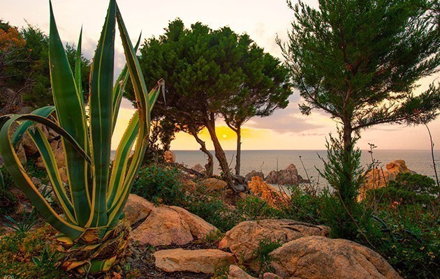 Hotel Costa Paradiso Hotel Costa Paradiso