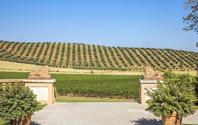 L Andana Tenuta La Badiola L Andana Tenuta La Badiola