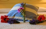 Is Benas Country Lodge