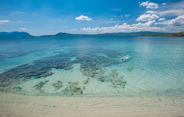The Pelican Beach Resort and Spa The Pelican Beach Resort and Spa