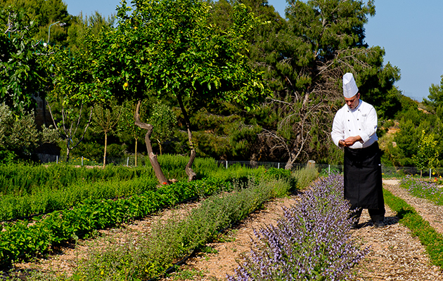 Villa del Parco and Spa – Forte Village Villa del Parco and Spa – Forte Village