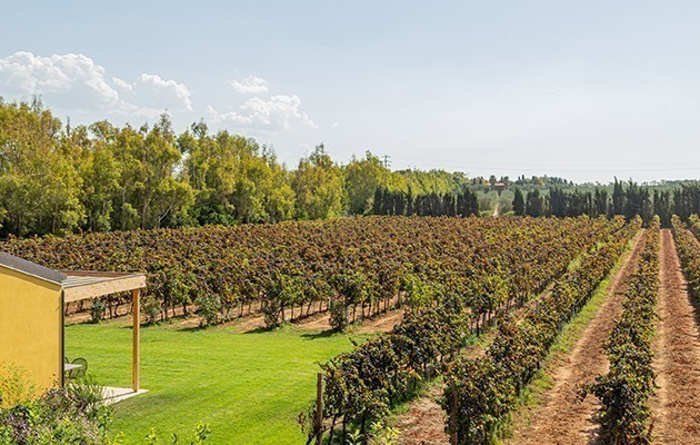 Wine Resort Alghero Wine Resort Alghero