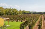 Wine Resort Alghero Wine Resort Alghero