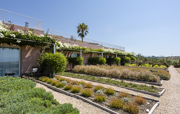 La Foresteria Planeta Estate La Foresteria Planeta Estate