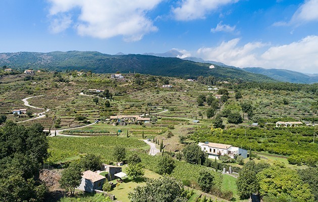 Monaci delle Terre Nere Monaci delle Terre Nere