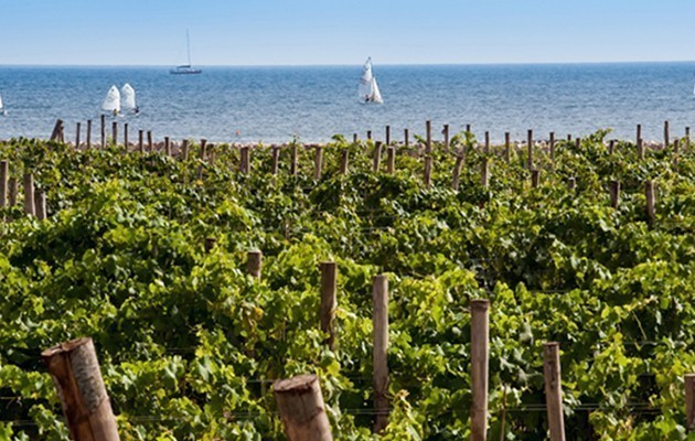 Baglio Sorìa Resort and Wine Experience Baglio Sorìa Resort and Wine Experience