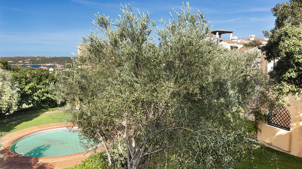 Il Giardino degli Oleandri Il Giardino degli Oleandri