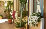 Hotel Raffael Hotel Raffael