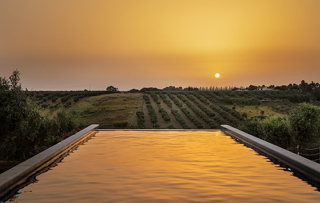 Momentum - Wellness Bio Resort Momentum - Wellness Bio Resort