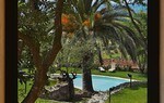 Villa Asfodeli Villa Asfodeli