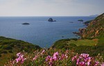 Villa Asfodeli Villa Asfodeli