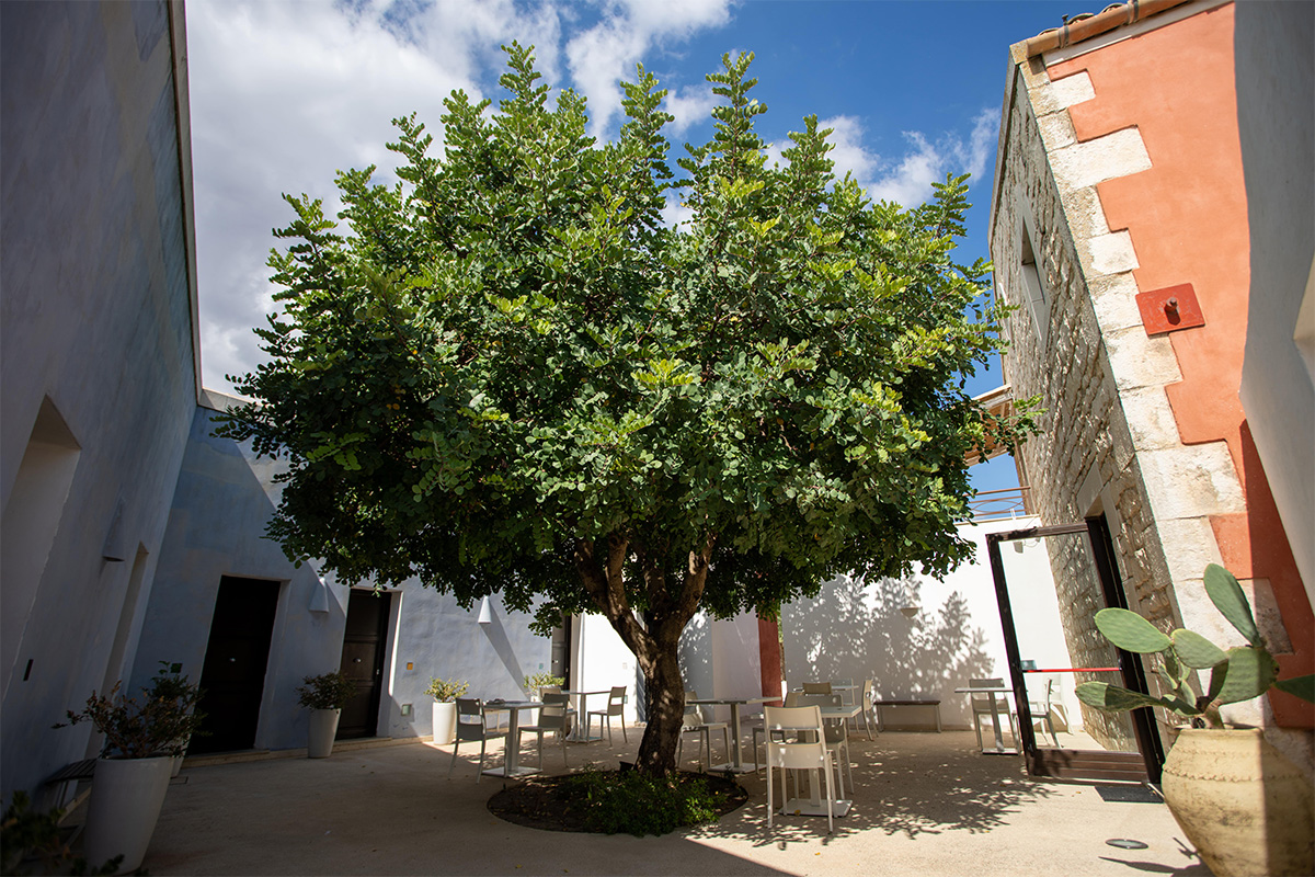 Cambiocavallo Unesco Area Resort Cambiocavallo Unesco Area Resort