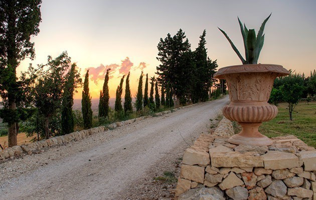 Masseria della Volpe Masseria della Volpe