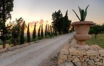 Masseria della Volpe Masseria della Volpe