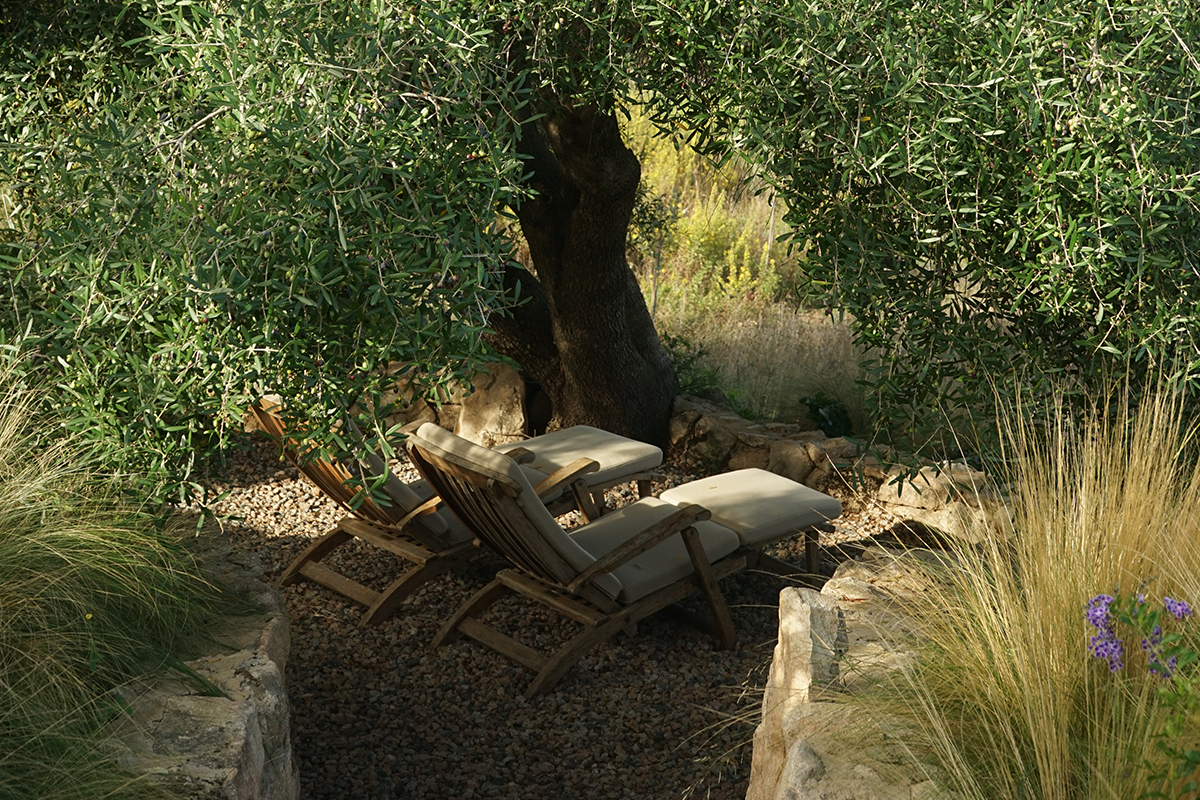 Albero Capovolto - BB di Charme Albero Capovolto - BB di Charme