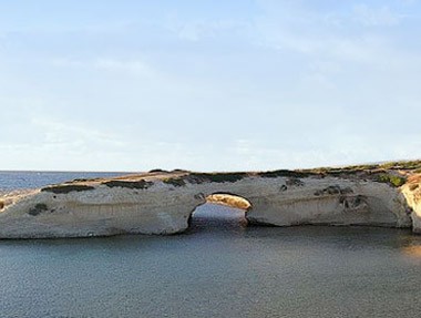 narbolia1.jpg