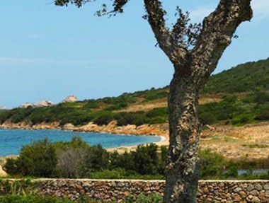 baja-sardinia2.jpg