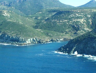 bosa3.jpg